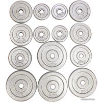 Набор гантелей с грифом для штанги USA Style SS-LDBS-217G-D30 50 кг (серый)