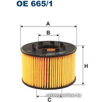Масляный фильтр Filtron OE 665/1
