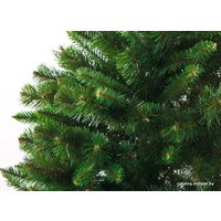 Ель Бифорес Классик 2 м (зеленый)