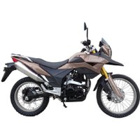 Мотоцикл Racer RC300-GY8 Ranger (коричневый)