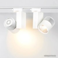 Трековый светильник Arlight LGD-2271WH-2x30W-4TR Warm White 022055