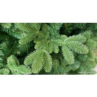 Ель Green Trees Барокко премиум 1.5 м