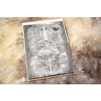 Манга АСТ. Made in Abyss. Созданный в бездне. Том 5 (Цукуси Акихито)