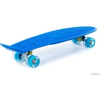 Пенниборд Полесье 89472 66 см (синий/голубой)