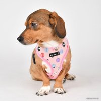 Шлейка-жилетка Puppia Lady Beetle-A PAWA-HA1957-PK-S (розовый)