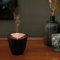 Увлажнитель воздуха Stadler Form Zoe (черный)