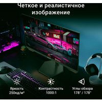 Игровой монитор Digma Overdrive 24P511F