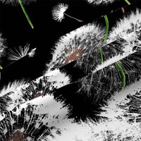 1.5-спальный комплект постельного белья Василиса Белый одуванчик 1.5 3412/1 272503