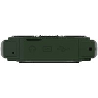 Кнопочный телефон Maxvi T19 (зеленый)