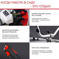 Триммер Fubag FPT 43 41046