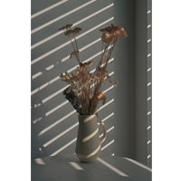 Беззеркальный фотоаппарат Nikon Z50 II Kit 16-50mm f/3.5-6.3 VR