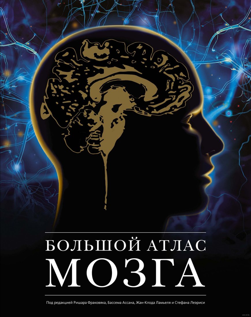 

Книга издательства КоЛибри. Большой атлас мозга (Ламьель Ж.-К. и др.)