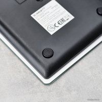 Кухонные весы Scarlett SC-KS57P75 в Бресте