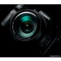 Фотоаппарат Panasonic Lumix DMC-FZ1000