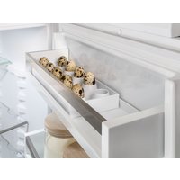 Холодильник Liebherr ICBNSd 5623 Plus BioFresh NoFrost