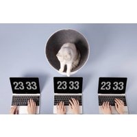 Лежак Furrytail Boss Cat Bed Elevated Cat Chair