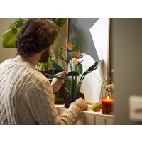 Конструктор LEGO Creator Expert 10289 Райская птица