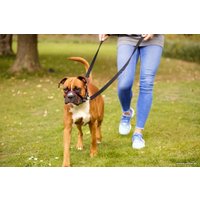 Недоуздок Halti Optifit Headcollar M (черный)