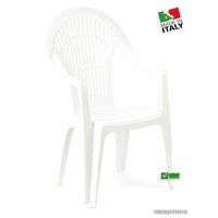 Стул GreenDeco VEG152BI