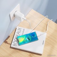 Сетевое зарядное Hoco C110A USB Type-C