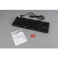 Клавиатура Rapoo V500Pro-87 (черный)