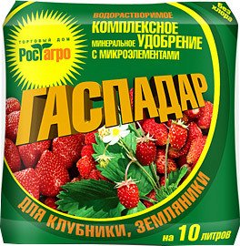 Удобрение Торговый дом Рост Агро Гаспадар для клубники и земляники 25 г