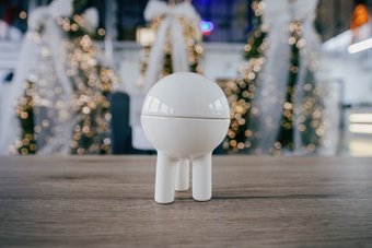 Ceramicmay Космошкатулка перепелка (белый)