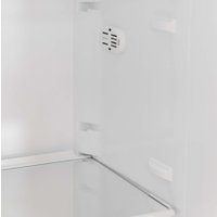 Однокамерный холодильник Scandilux RBI303EZ