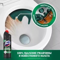 Средство для унитаза Domestos Антиржавчина (750 мл)