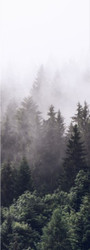 Туманный лес 191280 (100x280)