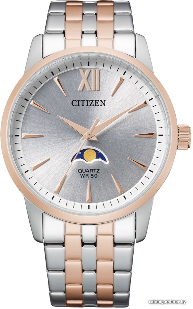 Наручные часы Citizen AK5006-58A