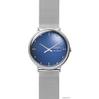 Наручные часы Skagen SKW6584