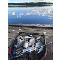 Удилище Волжанка Optima Evo Pro 14ft тест 120+гр 041-0120 (4.2м)