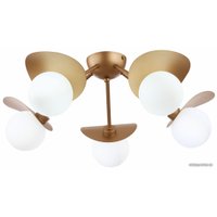 Припотолочная люстра Evoluce Bolzano SLE220502-05