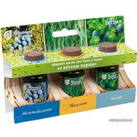  Банные штучки Набор эфирных масел С легким паром 30002 3х15 мл