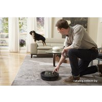 Робот-пылесос iRobot Roomba 880