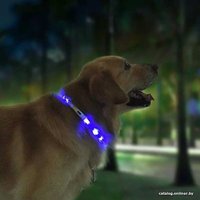 Ошейник Little Beast Glowing Collar LED XL81-5001 (синий)