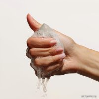 Спонж Sergey Naumov Mouse 0040