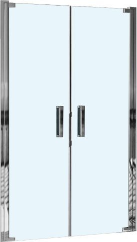 

Душевая дверь WeltWasser WW600 600K2-100