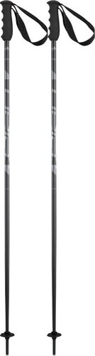 Лыжные палки Elan Speedrod 2024-2025 CD532023-135 (р.135, черный)