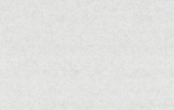 Виниловые обои Ateliero Belgrad-фон 58275-17