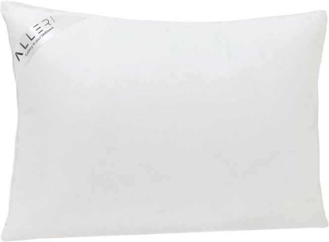Спальная подушка Alleri Eco-line Platinum 50x70 (эко-пух)