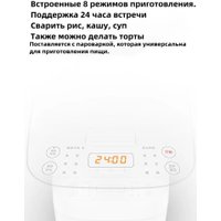 Мультиварка Xiaomi Mijia Rice Cooker C1 3L MDFBZ02ACM (с переходником на евровилку)