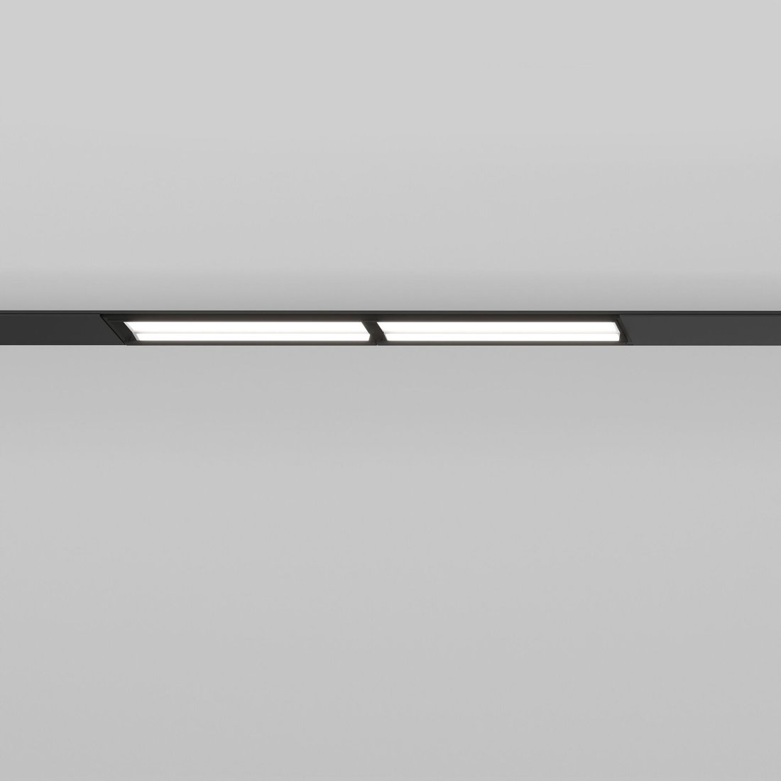 

Трековый светильник Elektrostandard Slim Magnetic WL02 12W 85008/01 (черный)