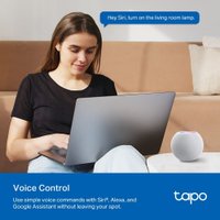 Умная розетка TP-Link Tapo P110M