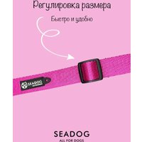 Ошейник Seadog Juicy Raspberry S