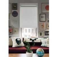 Рулонные шторы Эскар Вlackout 48х170 814650481601 (белый)