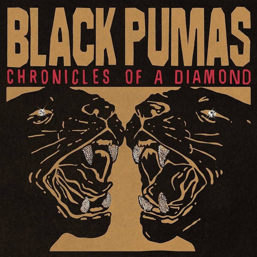 

Виниловая пластинка Black Pumas - Chronicles Of A Diamond (прозрачный винил)