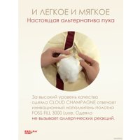 Спальная подушка Espera Home DeLux champagne 3D ЕС-6046 45x65