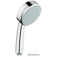 Душевой гарнитур  Grohe New Tempesta Cosmopolitan 100 [26084001]